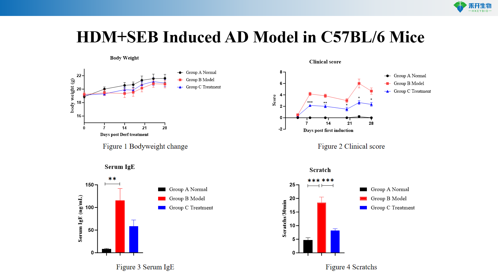 HDM+SEB Induced AD Model in C57BL/6 Mice 13