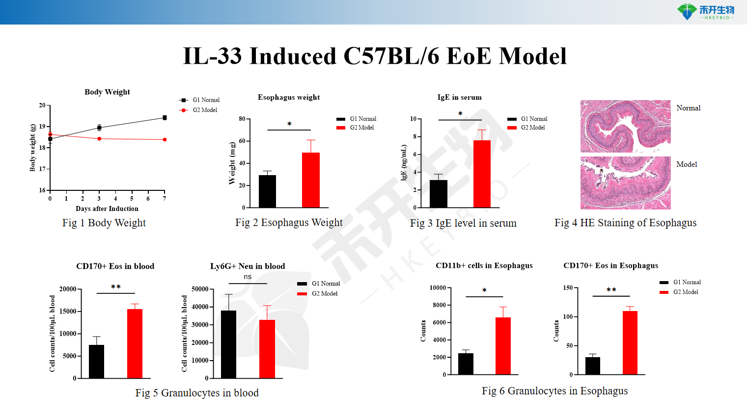 IL-33 Induced C57BL/6 EoE Model 8ab2261105a824f6d5749f10baf9453b