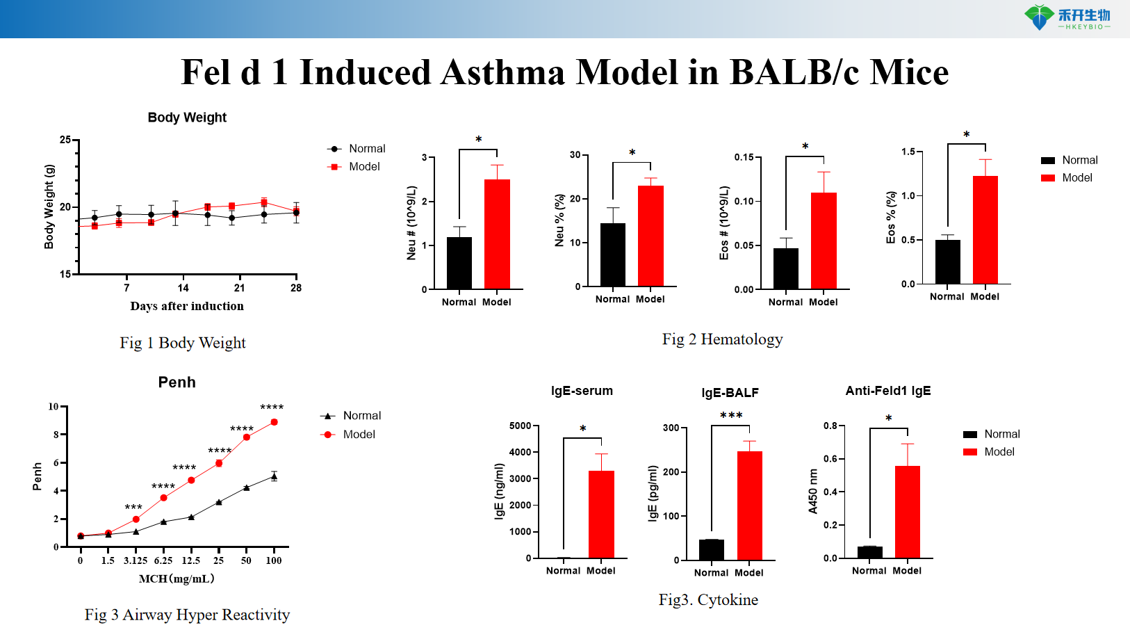Fel d 1 Induced Asthma Model in BALB/c Mice 10