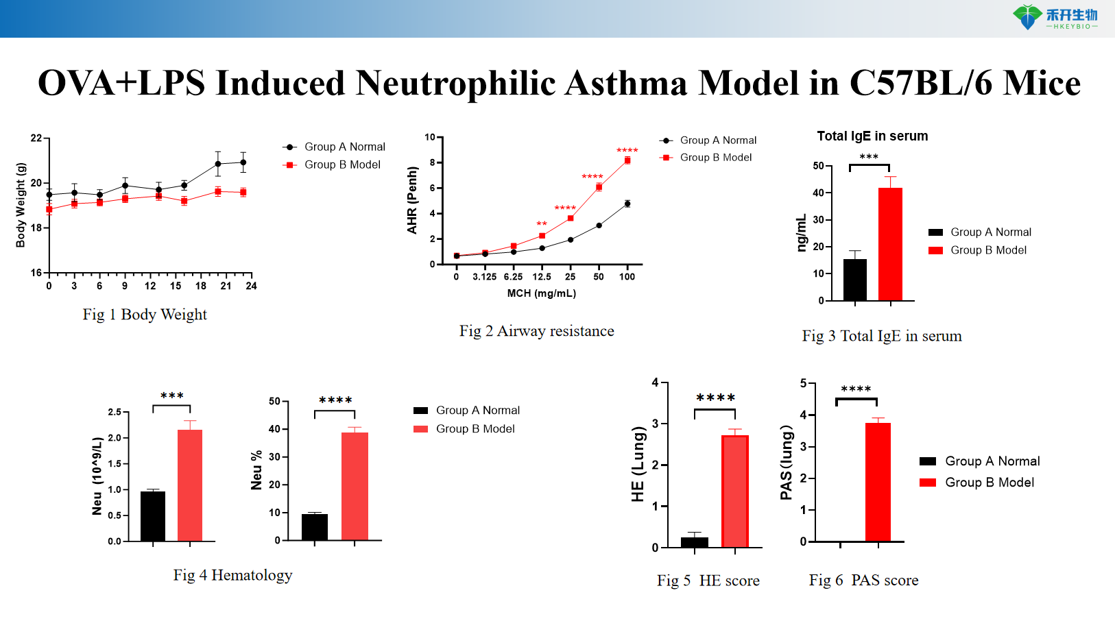 OVA+LPS Induced Neutrophilic Asthma Model in C57BL/6 Mice 5