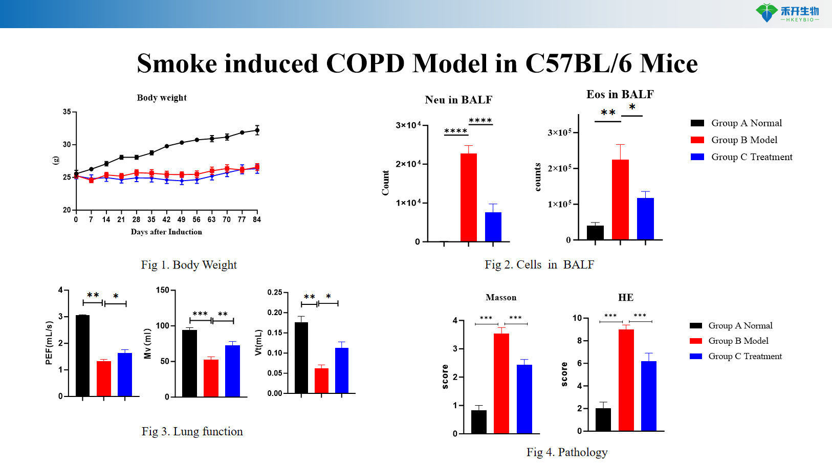 Smoke induced COPD Model in C57BL/6 Mice 2