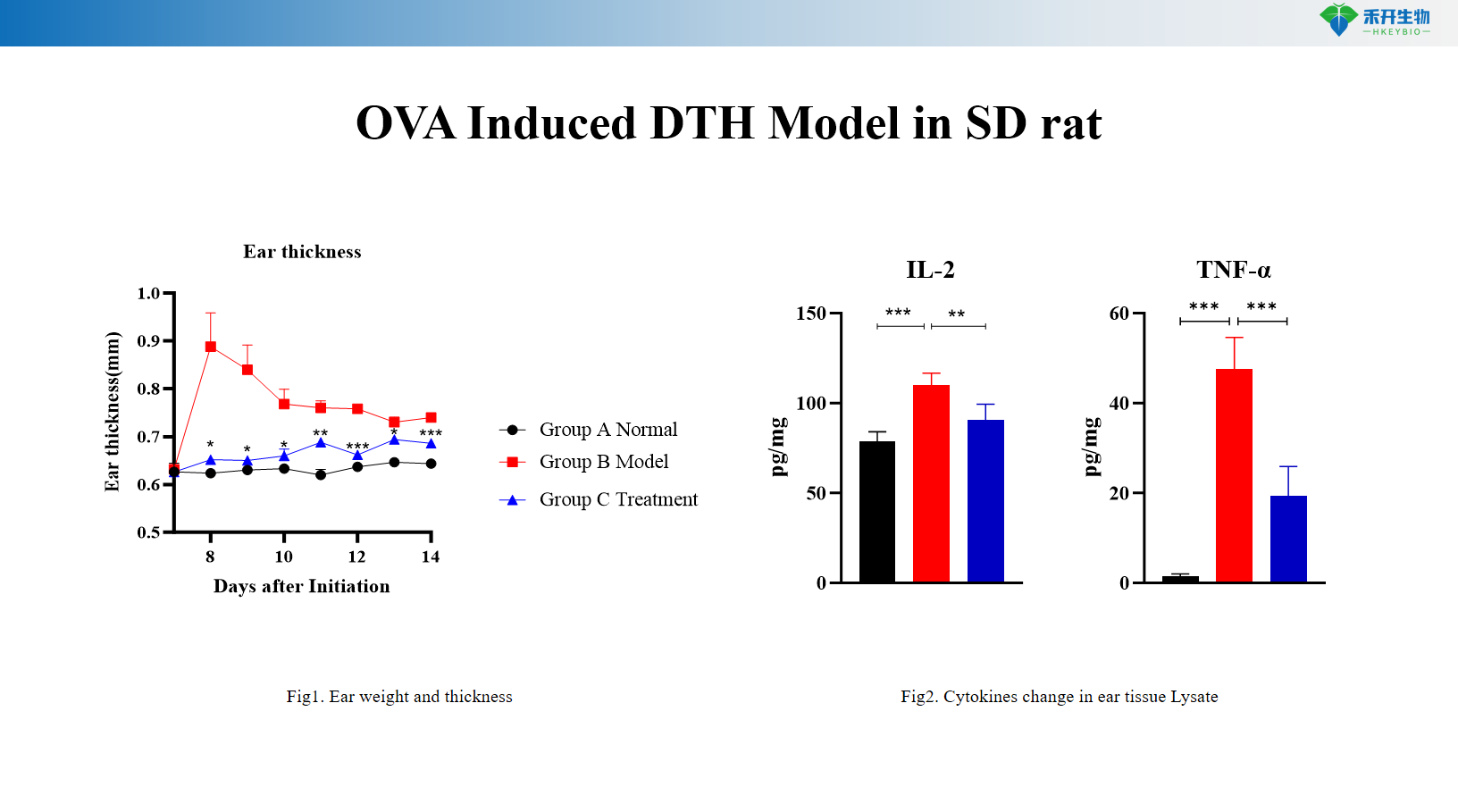 OVA Induced DTH Model in SD rat 2