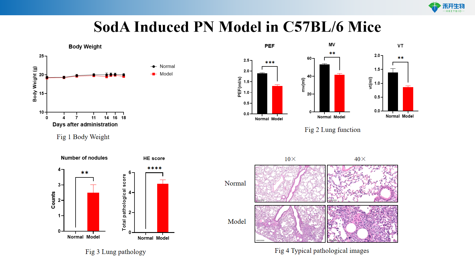 SodA Induced PN Model in C57BL/6 Mice 1