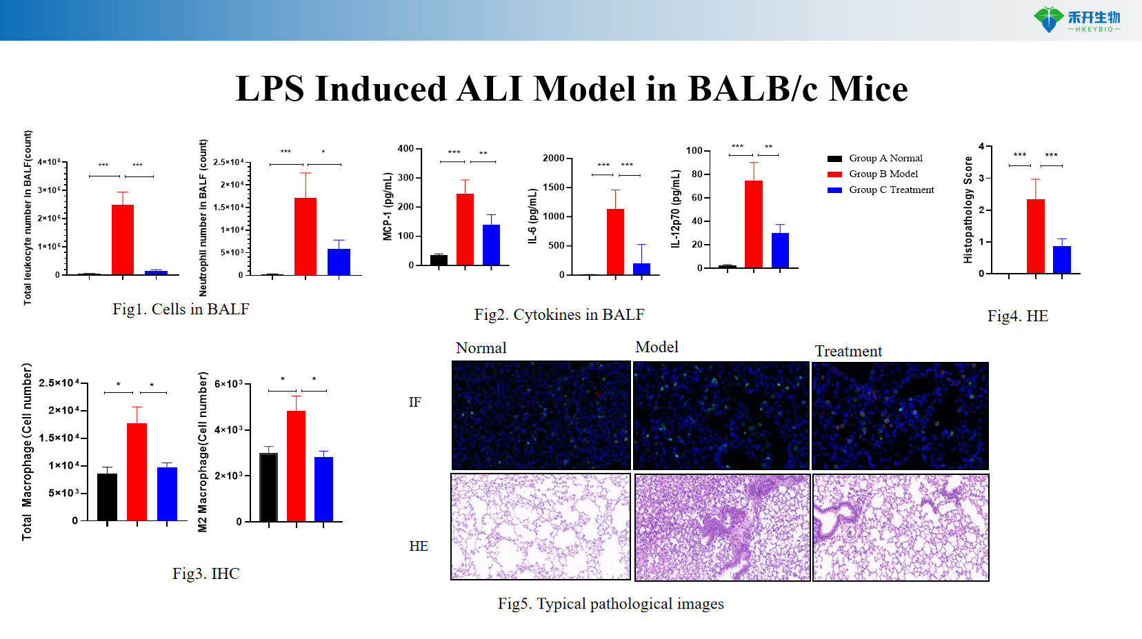 LPS Induced ALI Model in BALB/c Mice 902232e20d8fc9710d47b821897f72a6