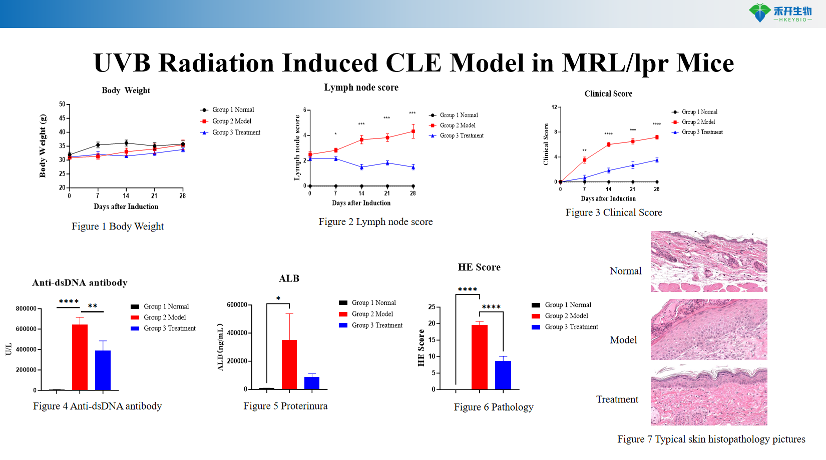 UVB Radiation Induced CLE Model in MRL/lpr Mice 6a044a65550a5e1e95a1e8f86711b114