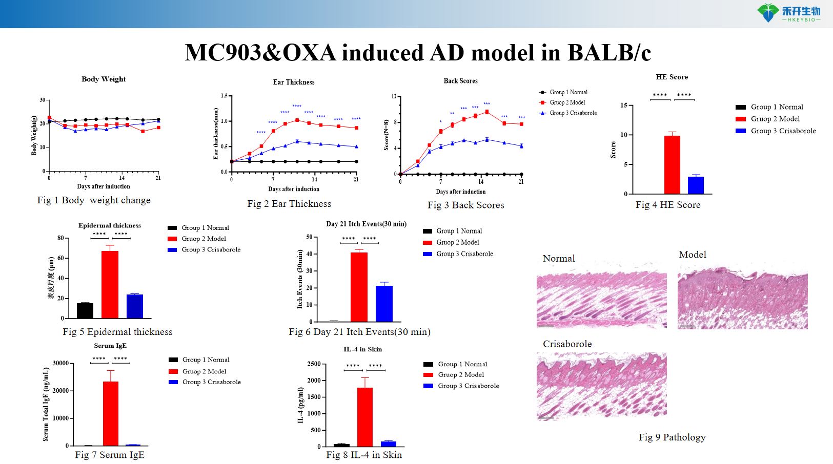 MC903&OXA induced AD model in BALB/c 8
