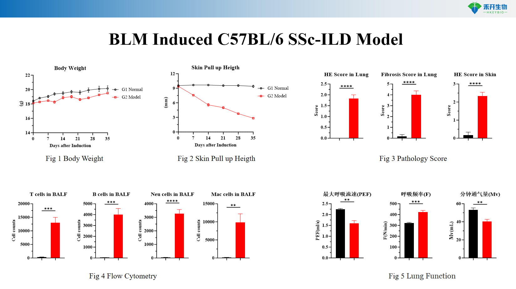 BLM Induced C57BL/6 SSc-ILD Model 67ebb16a07619dc580e76182df4dfa65