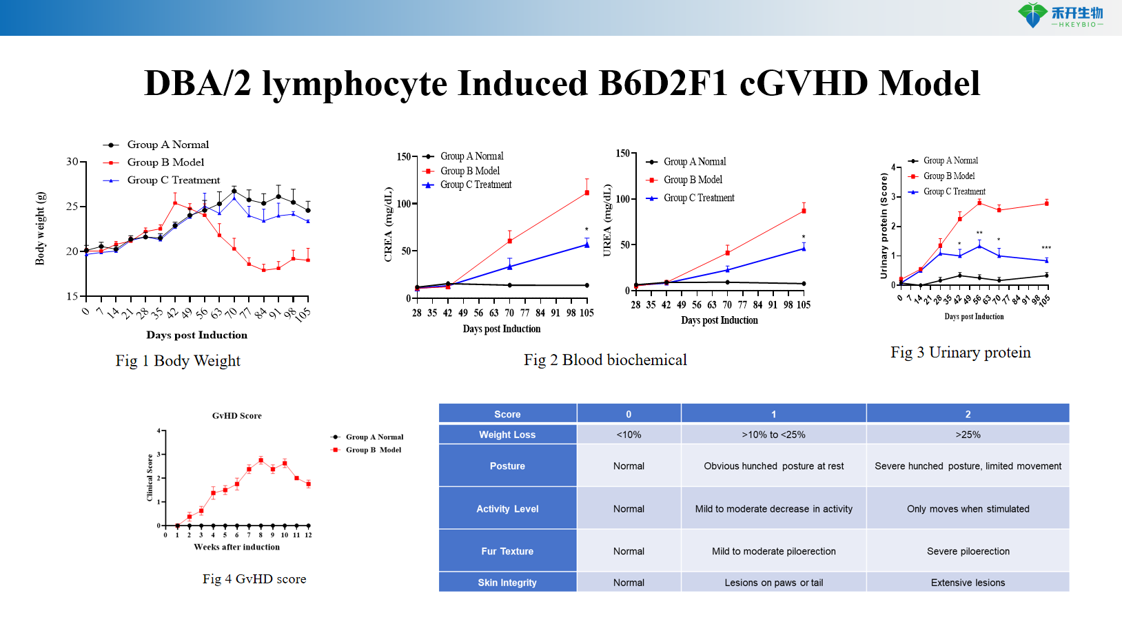 DBA/2 lymphocyte Induced B6D2F1 cGVHD Model01 3