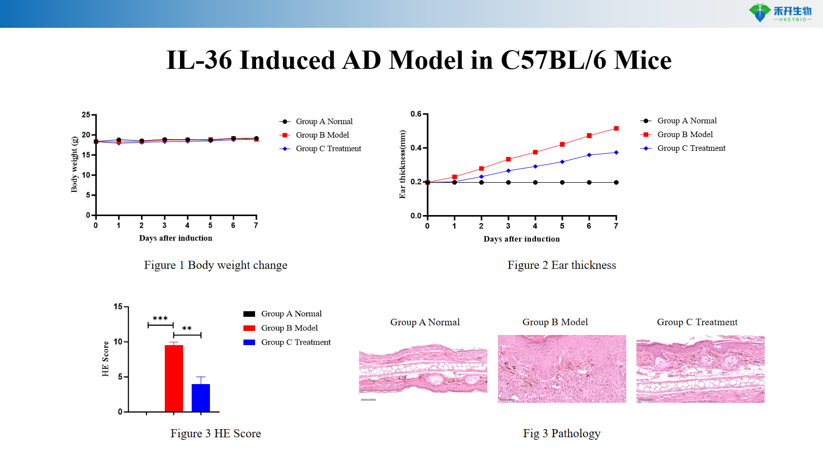 IL-36 Induced AD Model in C57BL/6 Mice 12