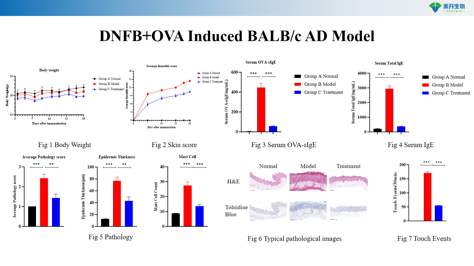 DNFB+OVA Induced BALB/c AD Model 10