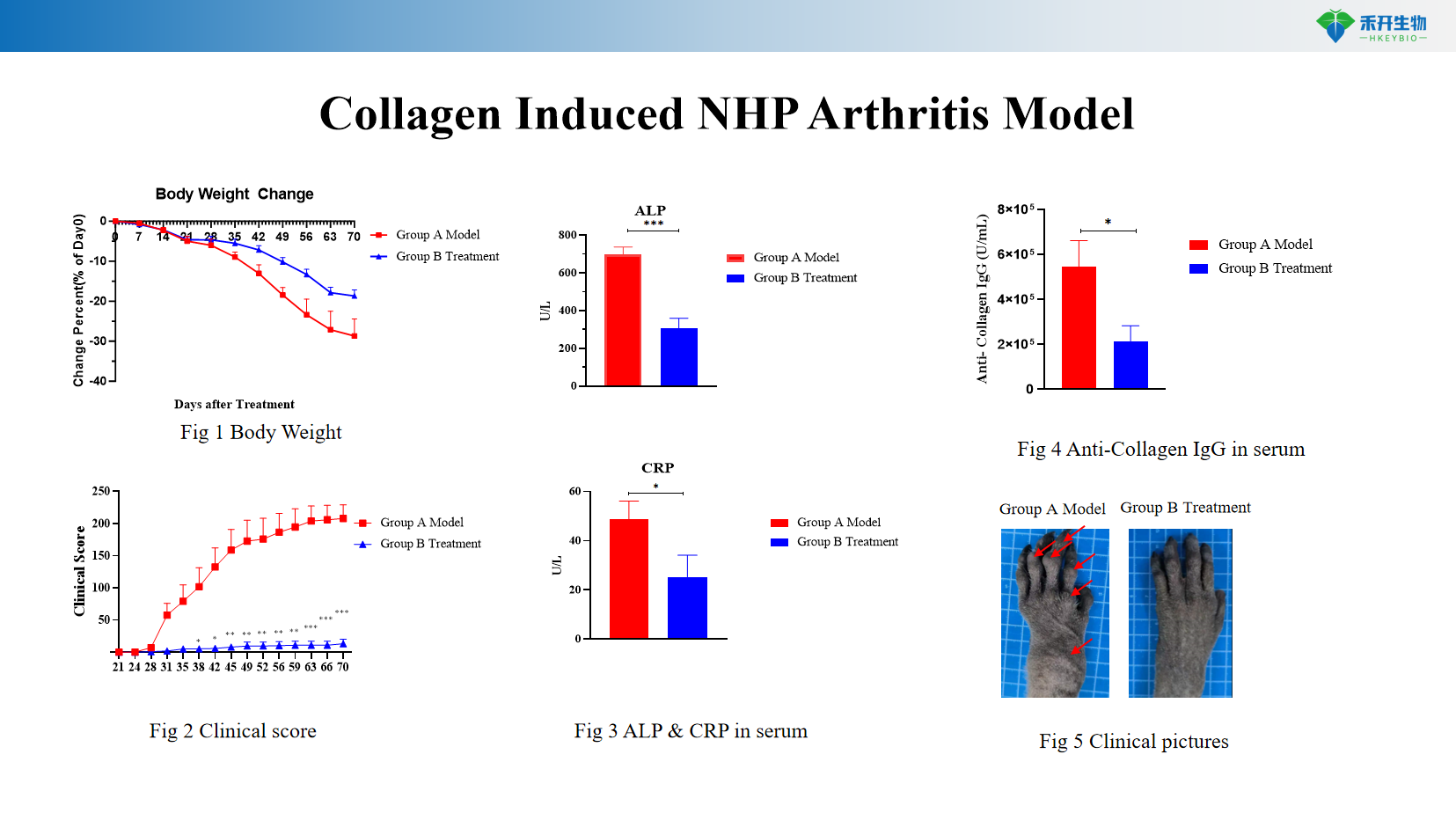 Collagen Induced NHP Arthritis Model 1