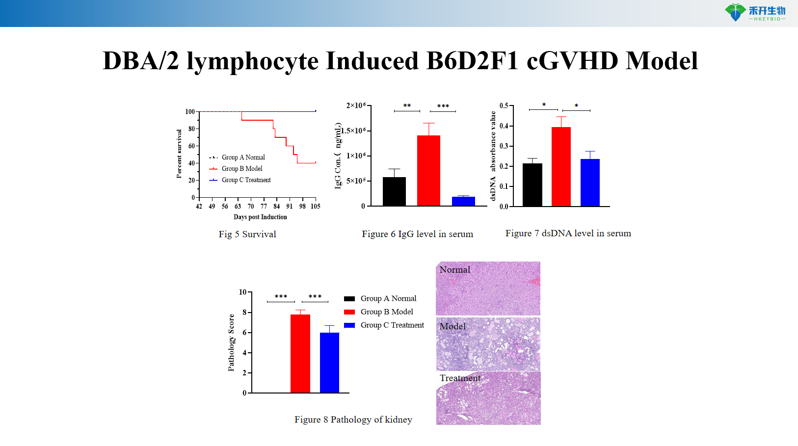 DBA/2 lymphocyte Induced B6D2F1 cGVHD Model02 4