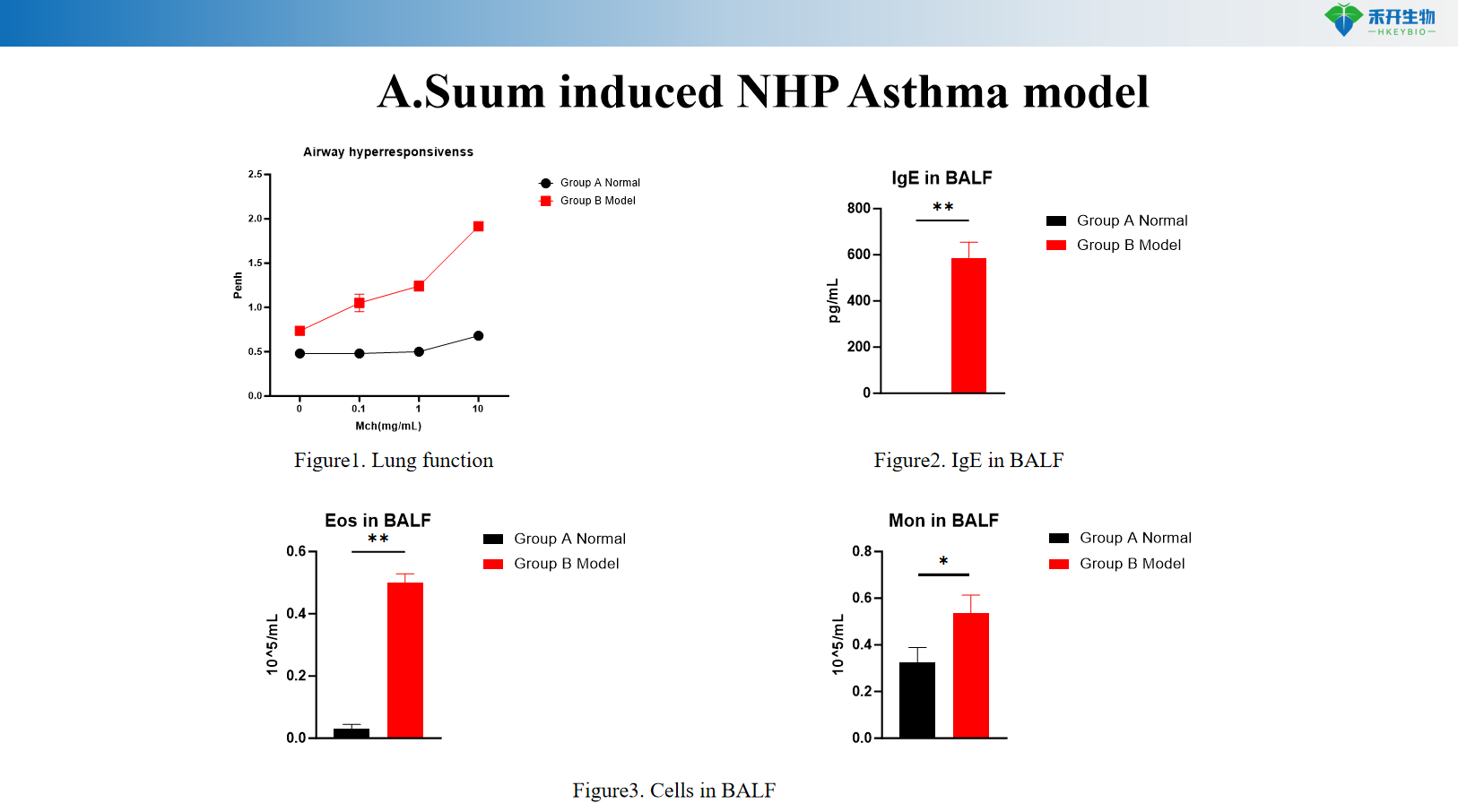A.Suum induced NHP Asthma model-01 1