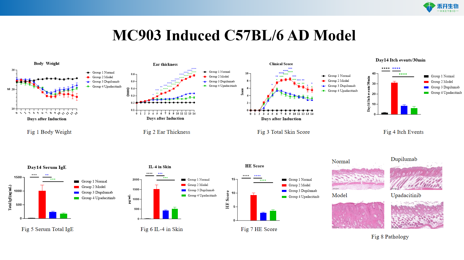 MC903 Induced C57BL/6 AD Model 5