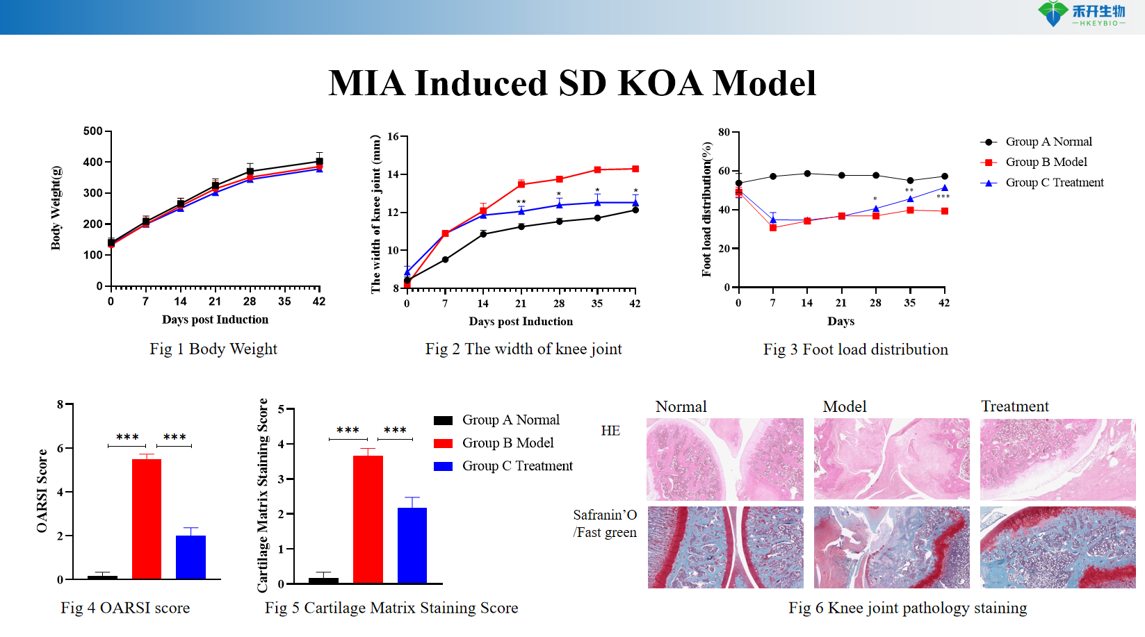 MIA Induced SD KOA Model 2