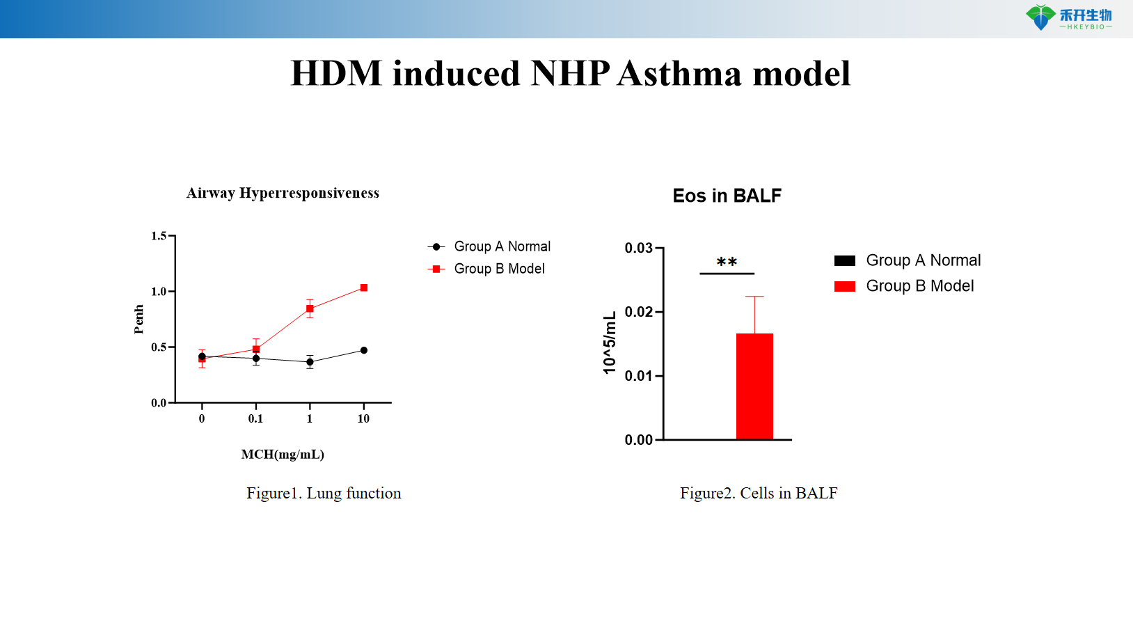 HDM induced NHP Asthma model-01 2