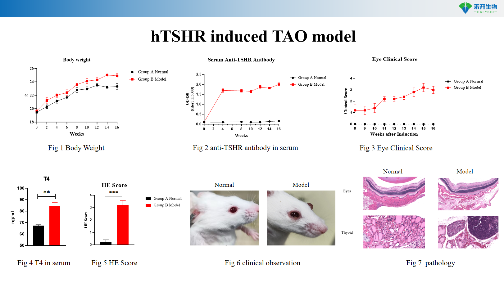 hTSHR induced TAO model 666