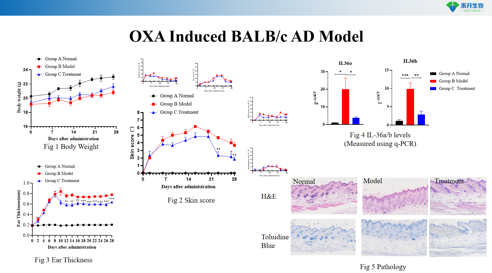 OXA Induced BALB/c AD Model 4