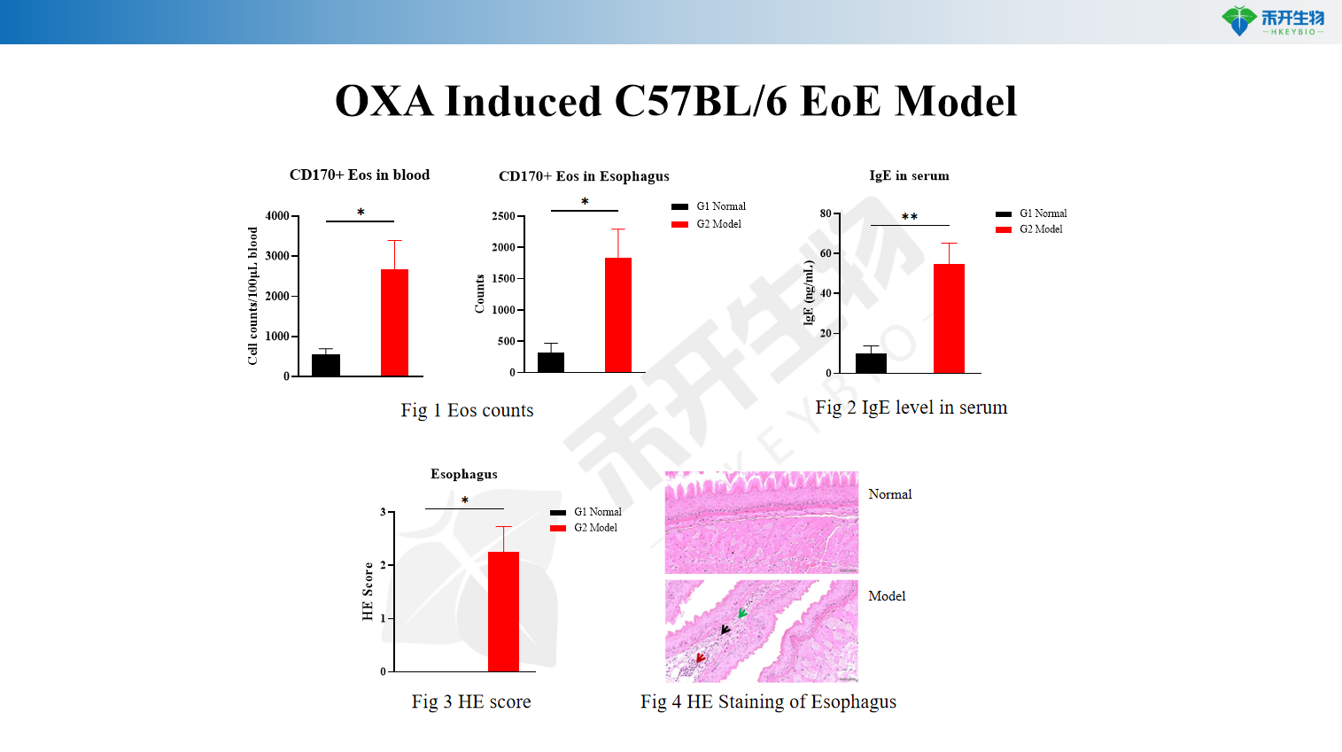 OXA Induced C57BL/6 EoE Model 30decab71d01919da17d4fcc5c802cf3