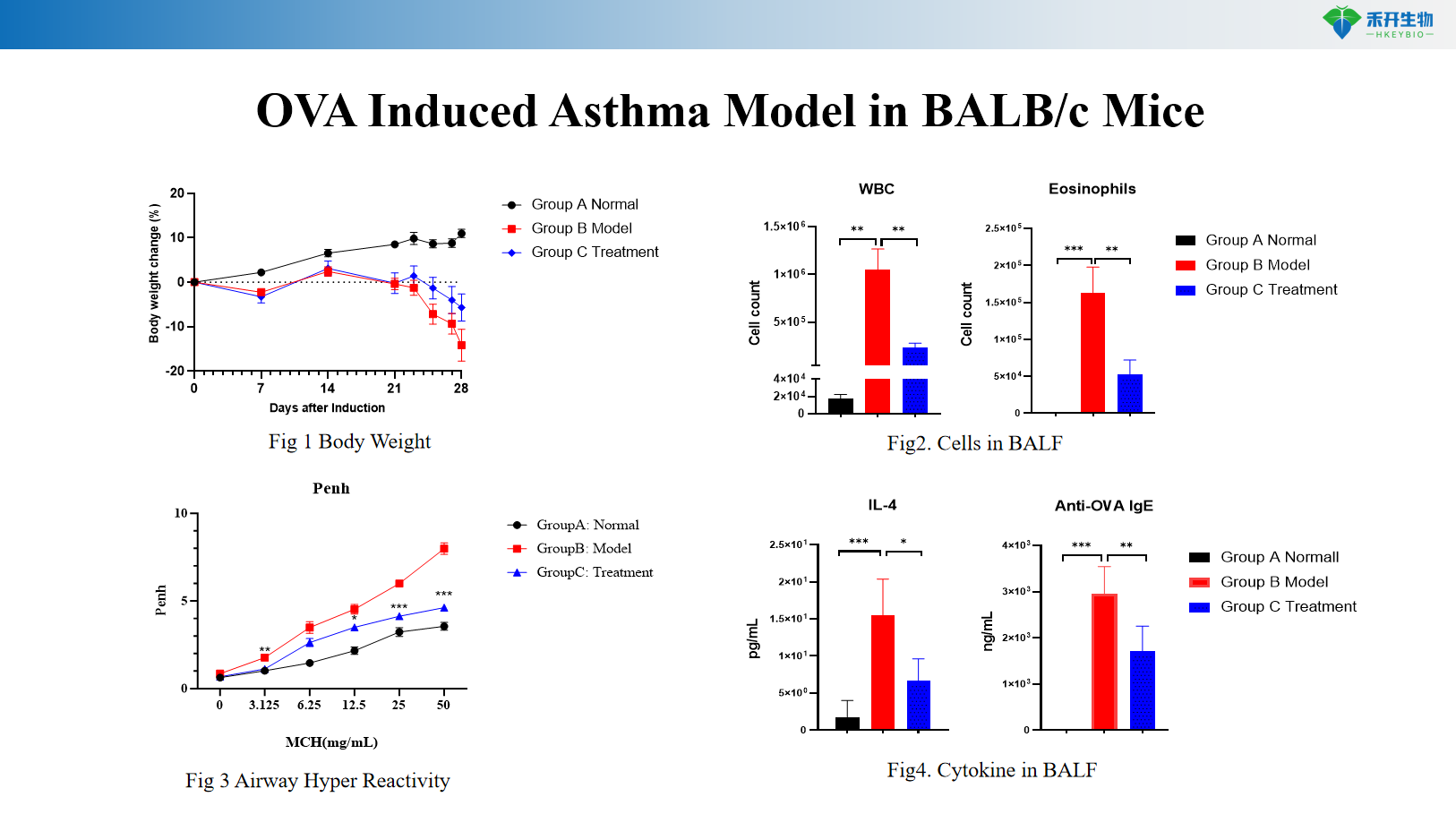 OVA Induced Asthma Model in BALB/c Mice 2