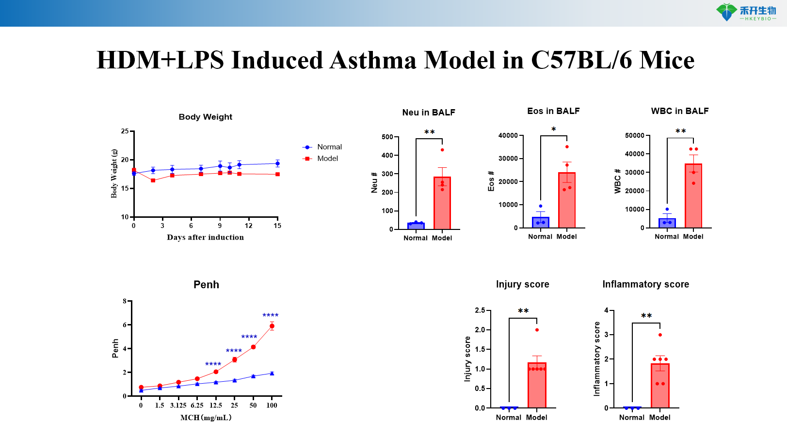 HDM+LPS Induced Asthma Model in C57BL/6 Mice 8