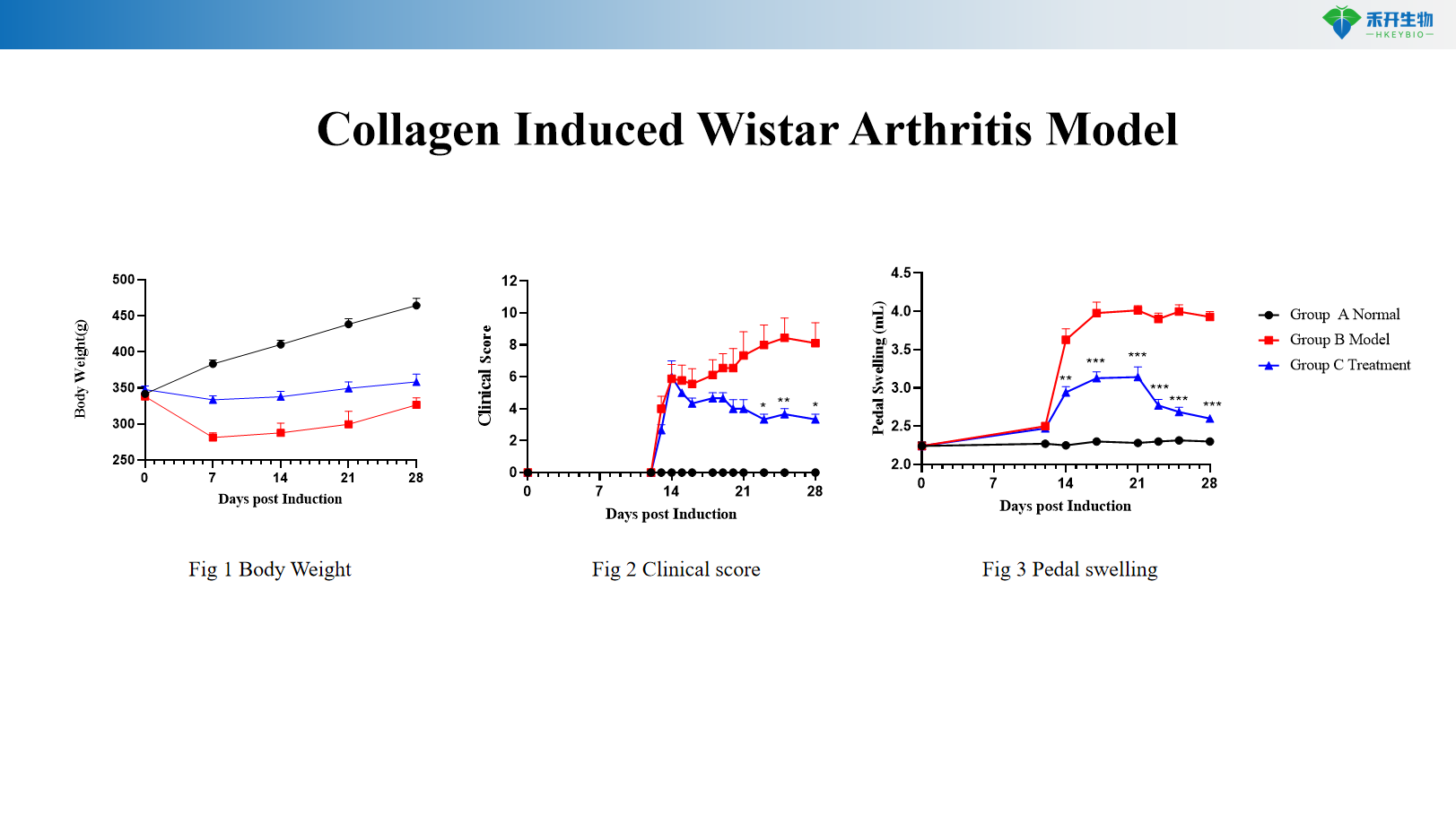 Collagen Induced Wistar Arthritis Model 3