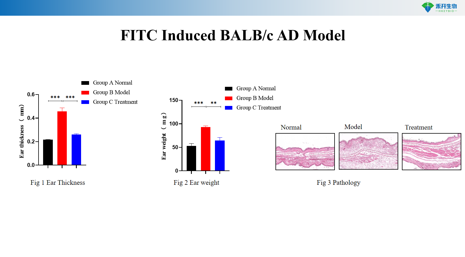 FITC Induced BALB/c AD Model 9