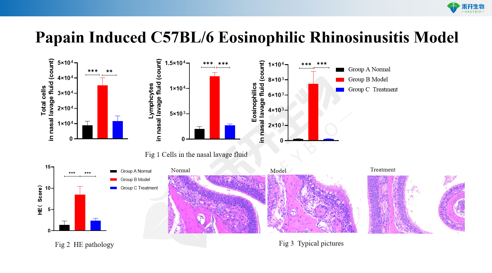 Papain Induced C57BL/6 Eosinophilic Rhinosinusitis Model 1
