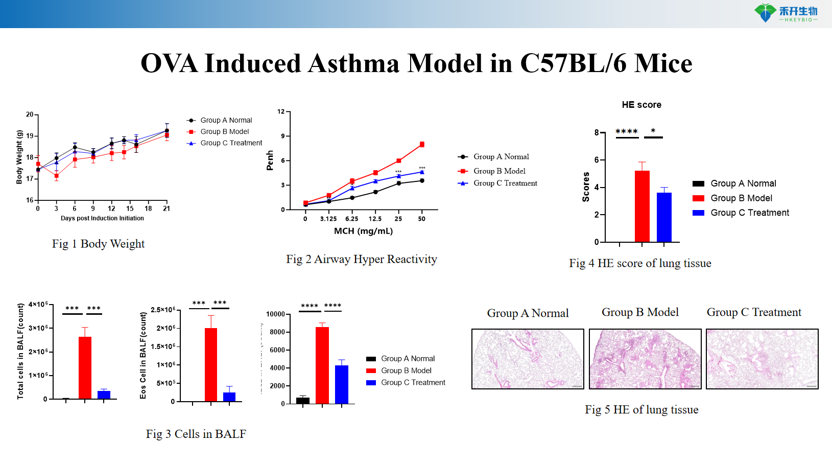 OVA Induced Asthma Model in C57BL/6 Mice 1