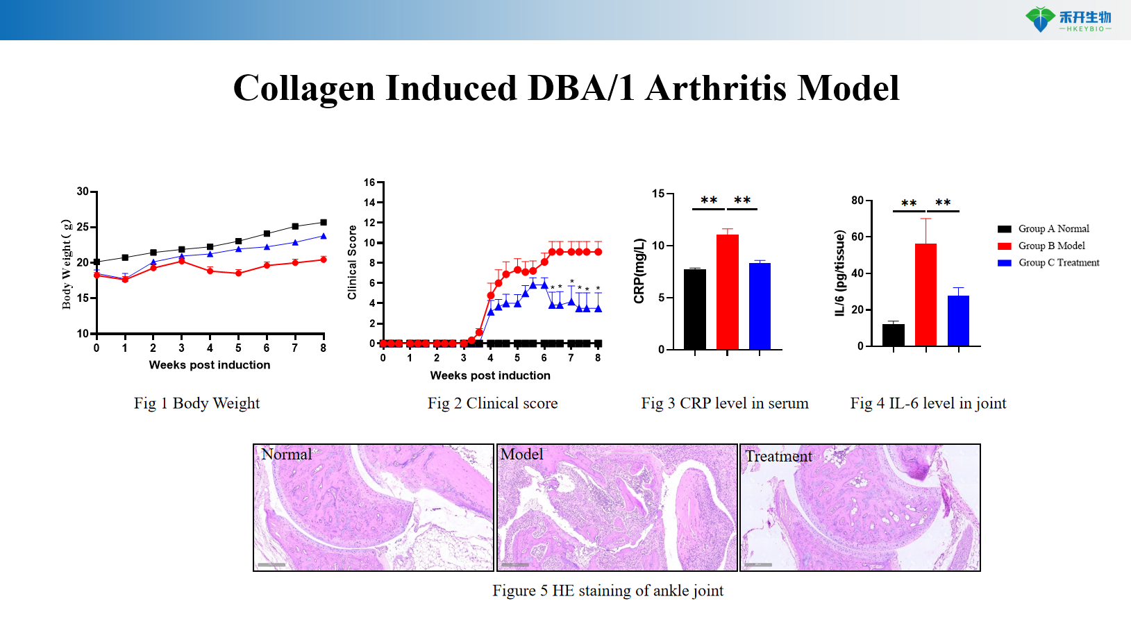 Collagen Induced DBA/1 Arthritis Model 1