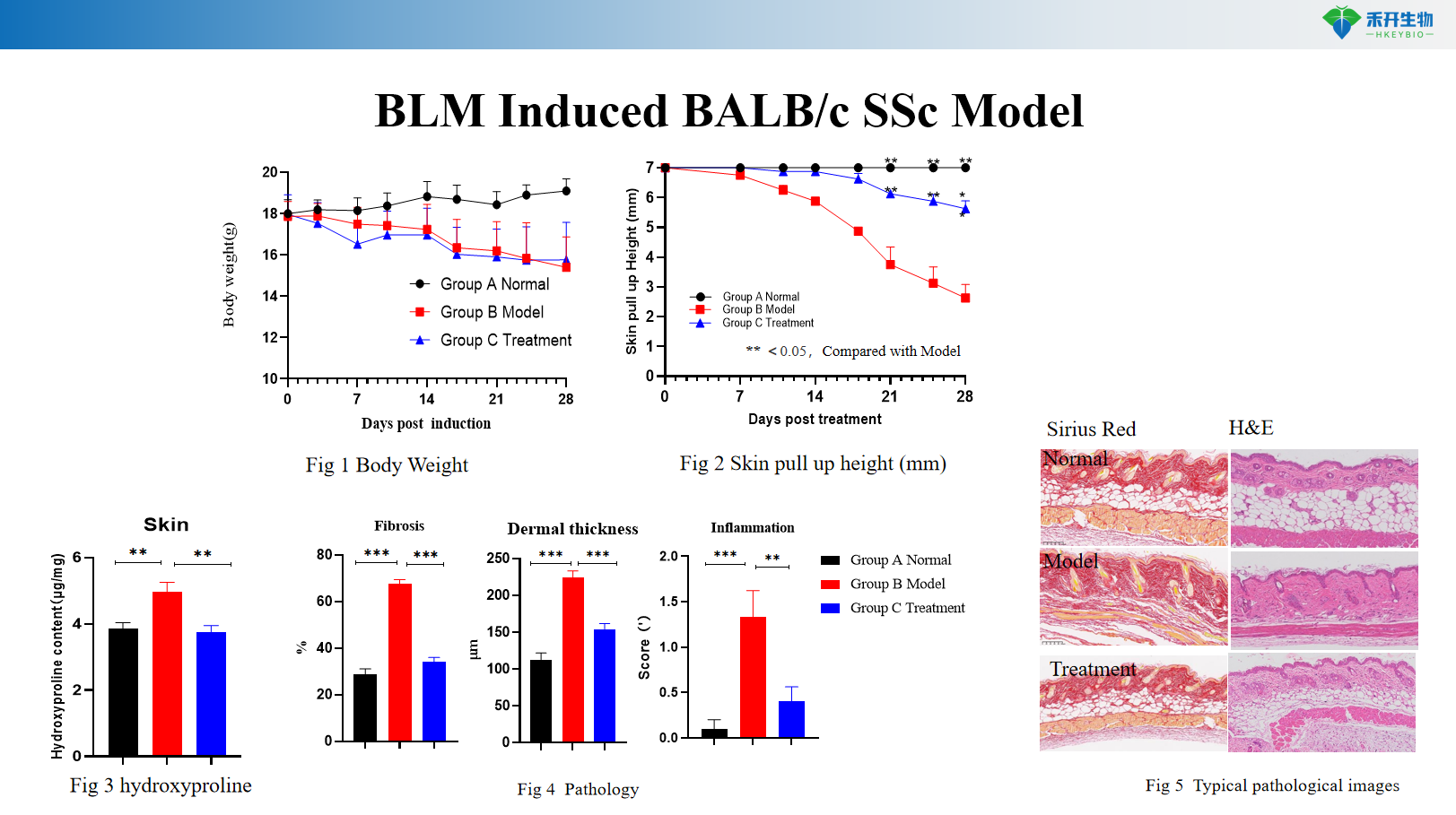 BLM Induced BALB/c SSc Model c2c9368fef8c15f3496e91ef05f2b5a4