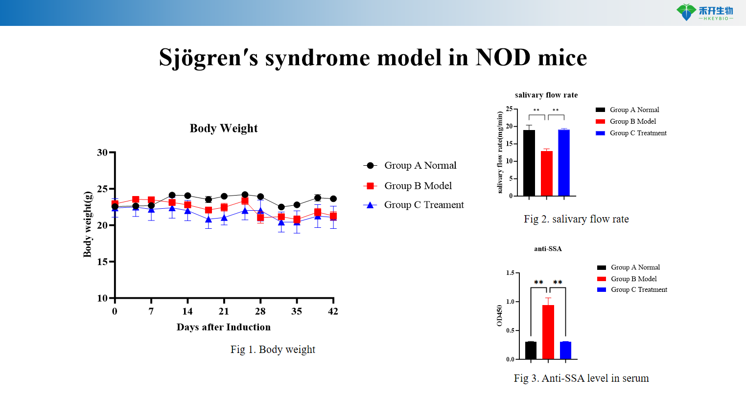 Sjögren′s syndrome model in NOD mice 3