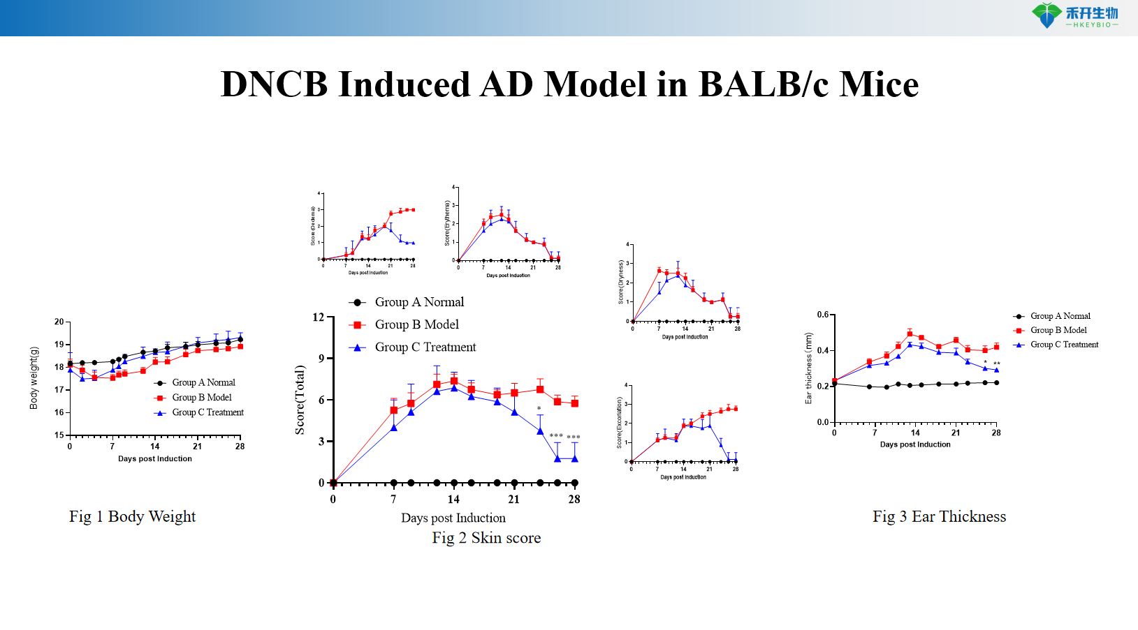 DNCB Induced AD Model in BALB/c Mice 2