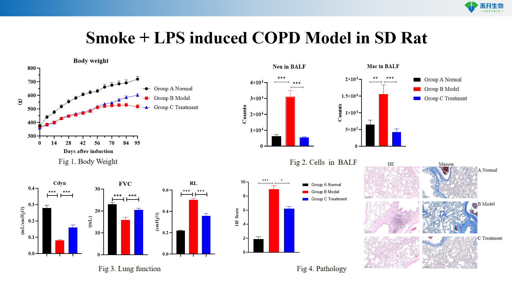 Smoke + LPS induced COPD Model in SD Rat 5