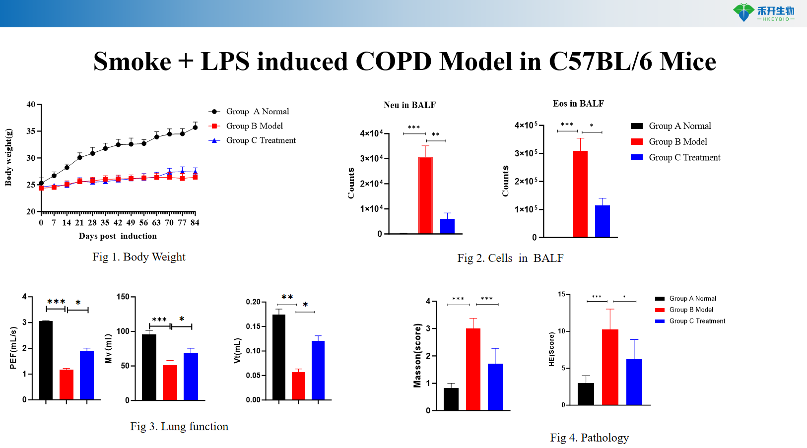 Smoke + LPS induced COPD Model in C57BL/6 Mice 1