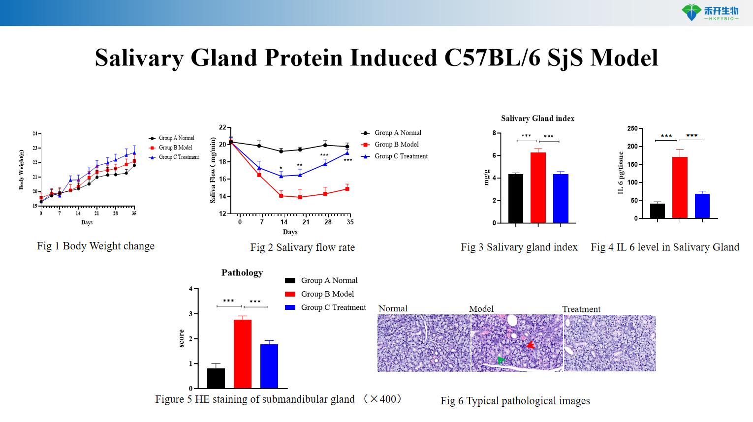 Salivary Gland Protein Induced C57BL/6 SjS Model 1