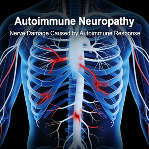 Mouse Autoimmune Neuropathy Models