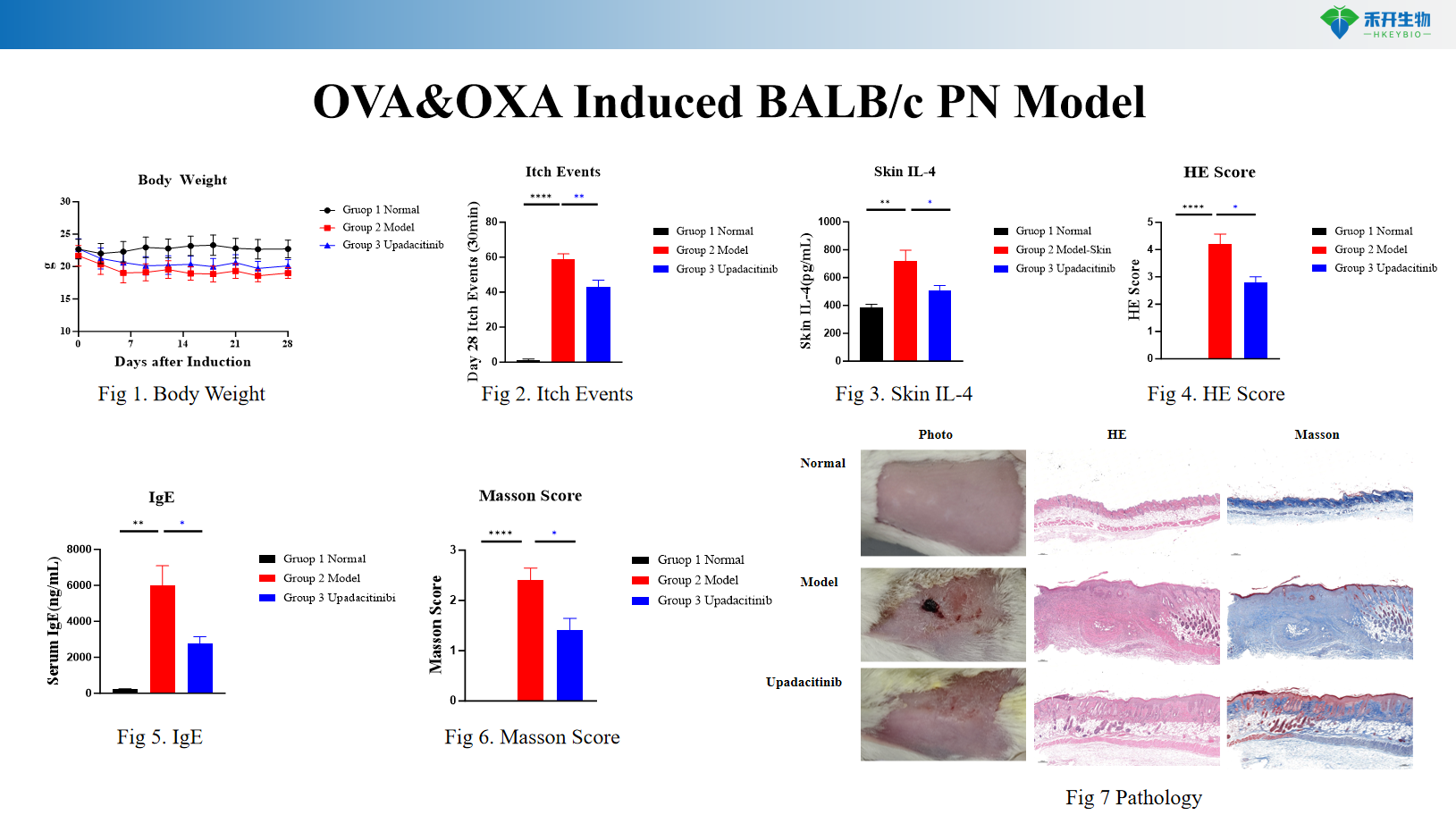 4ф2006ф2ф2дда7фд8664бафа8ф2585а6