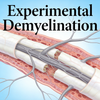 Mouse Experimental Demyelination (Cuprizone Model)