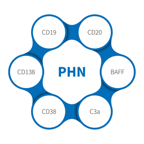 Passive heymann nephritis