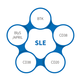Systemic Lupus Erythematosus-NHP