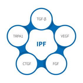 Idiopathic Pulmonary Fibrosis-NHP