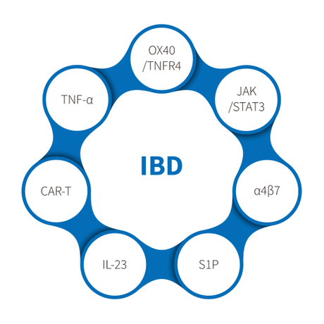 三级分类_Inflammatory bowel disease.jpg