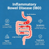 Rodent Inflammatory Bowel Disease (IBD) ပုံစံများ