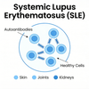 NHP Systemic Lupus Erythematosus (SLE) Model