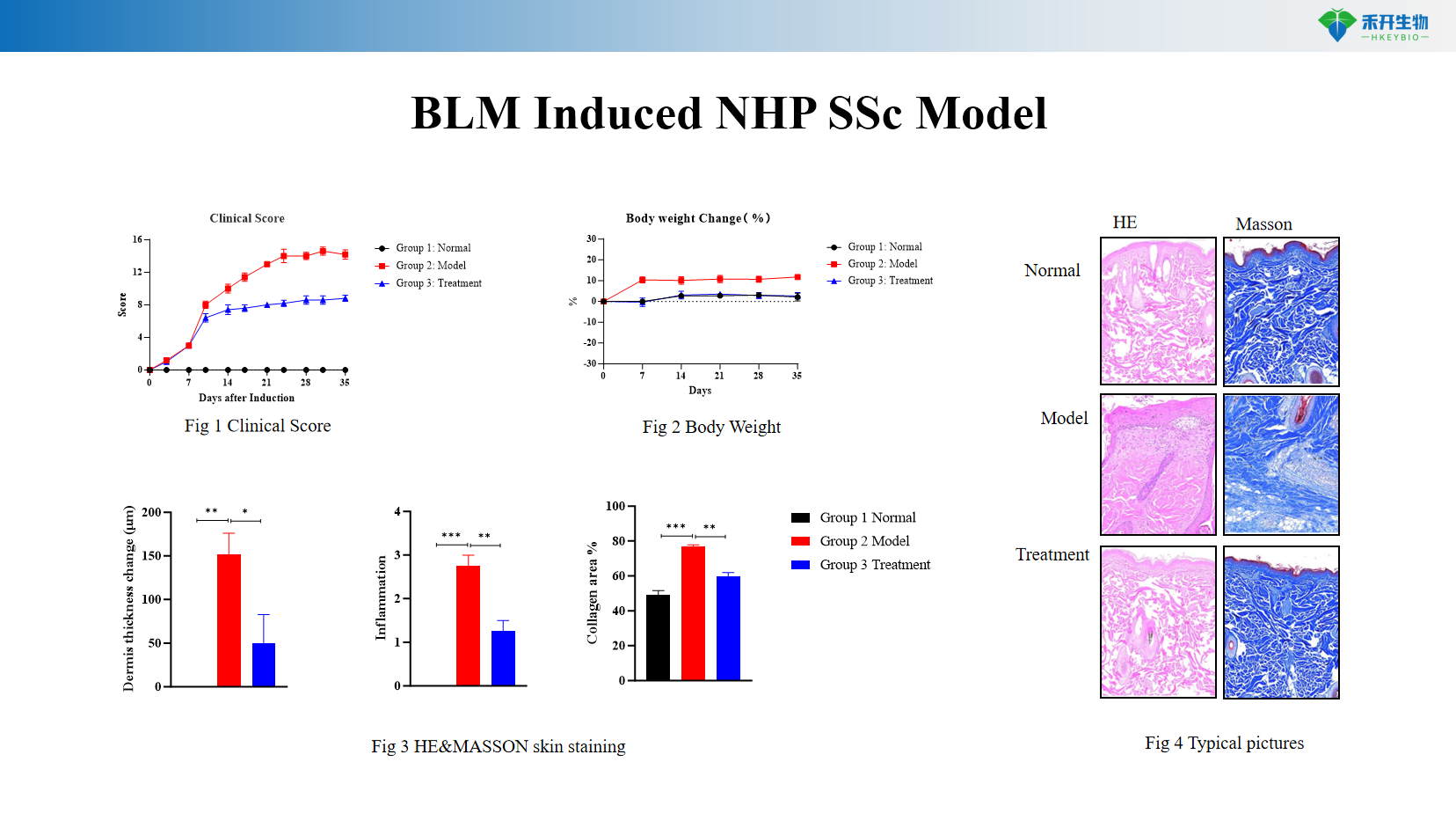 BLM Induced NHP SSc Model
