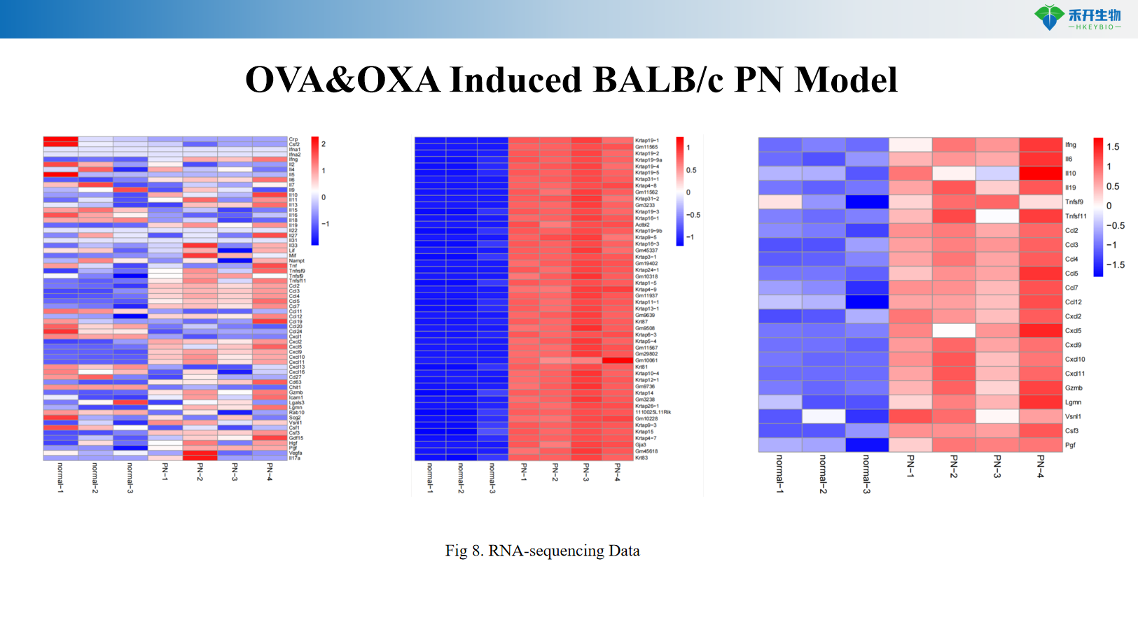 034а8цец4д380629аф9а0фце0499568а