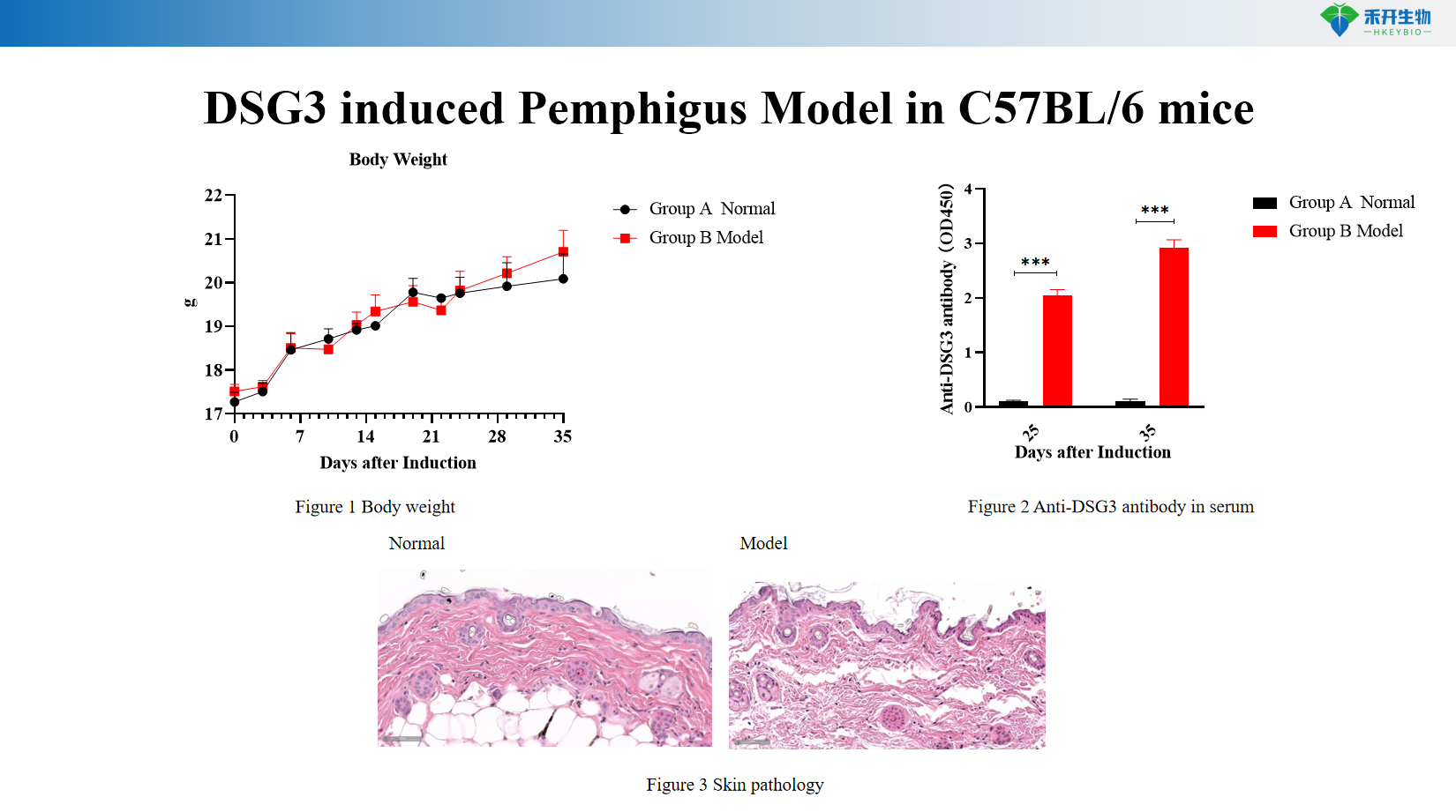 a833004f616cdf5ca294baadd423d9f0
