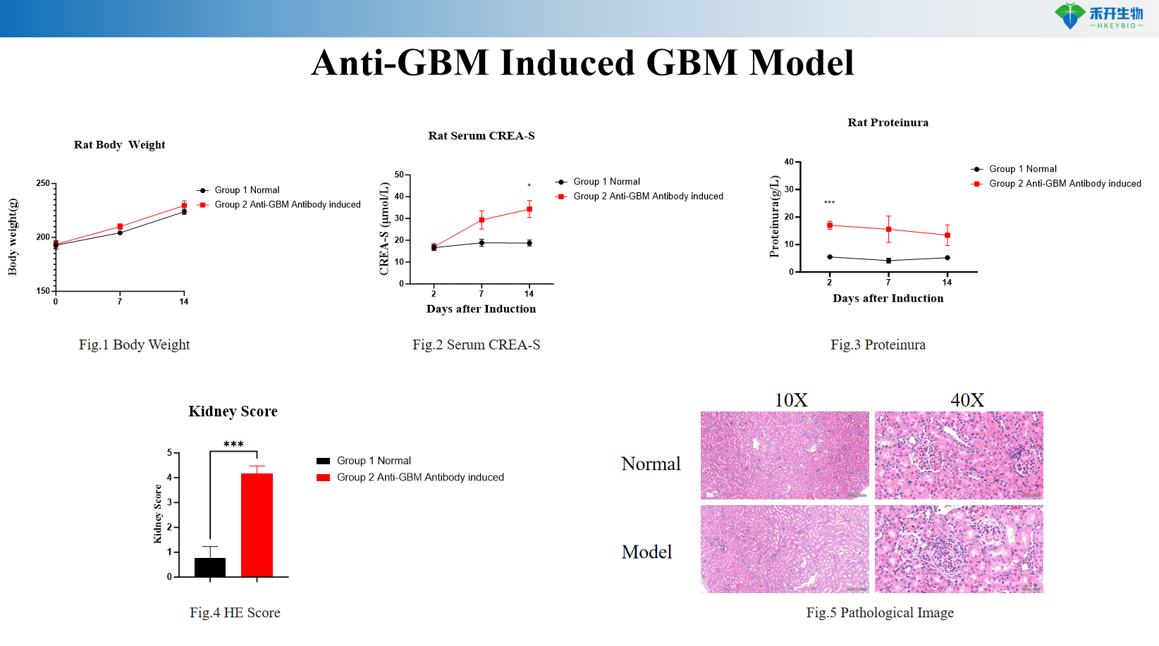 43c272c13f07ee019c4bad69d75d7cbf