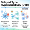 Rodent Delayed Type Hypersensitivity (DTH) Models